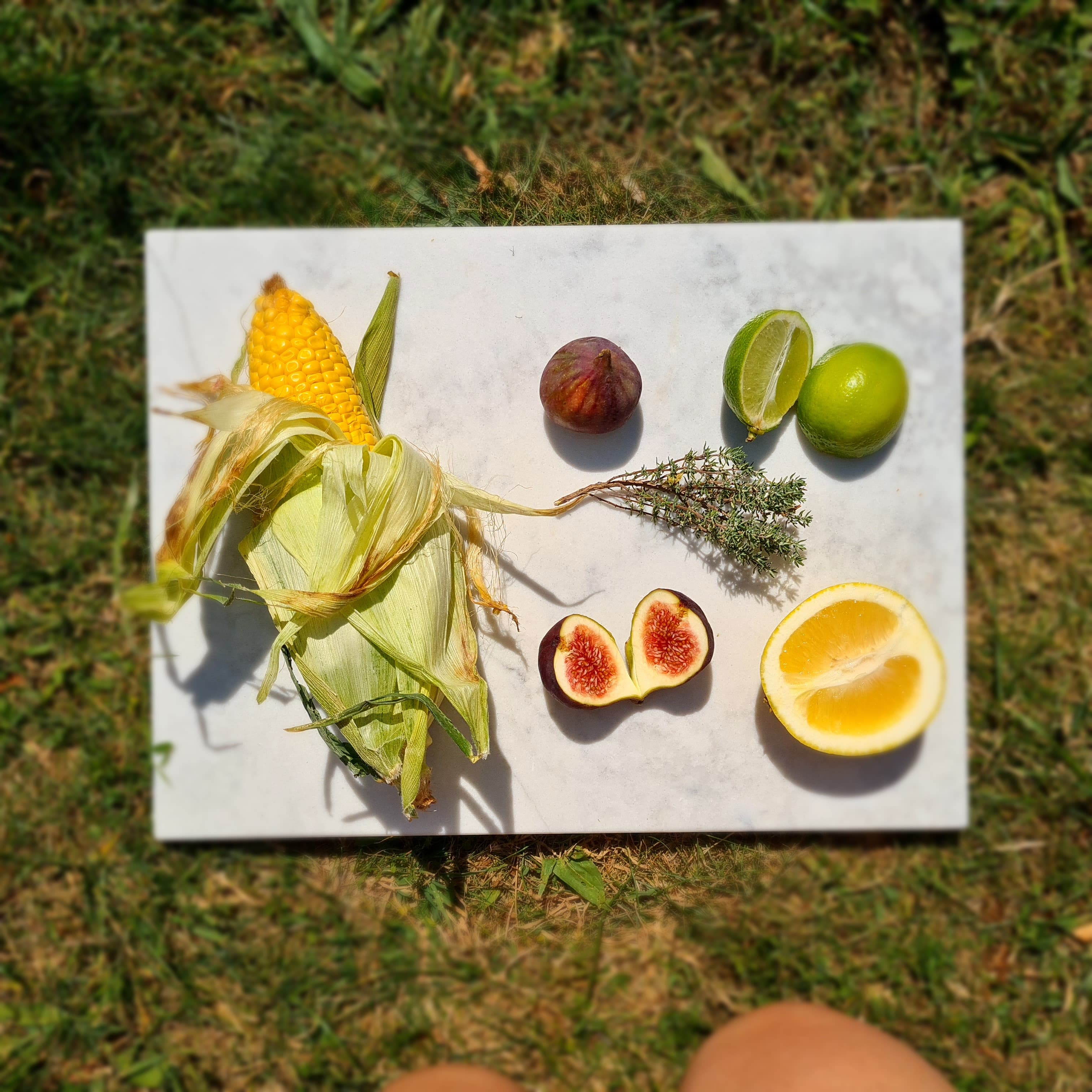 Fresh fruit arranged on the ground